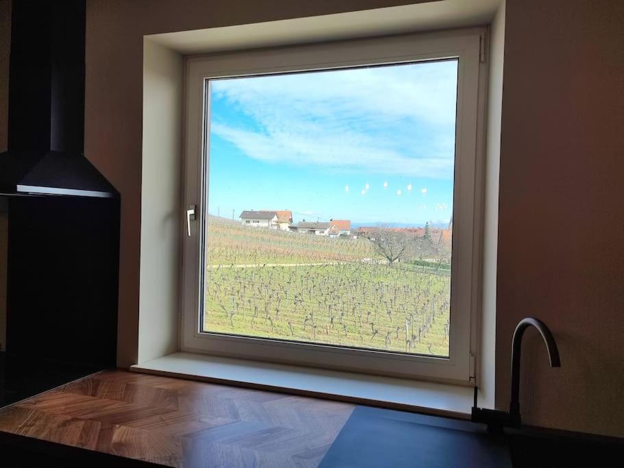 דירות ברגהיים Vue Splendide Au Coeur Des Vignes מראה חיצוני תמונה